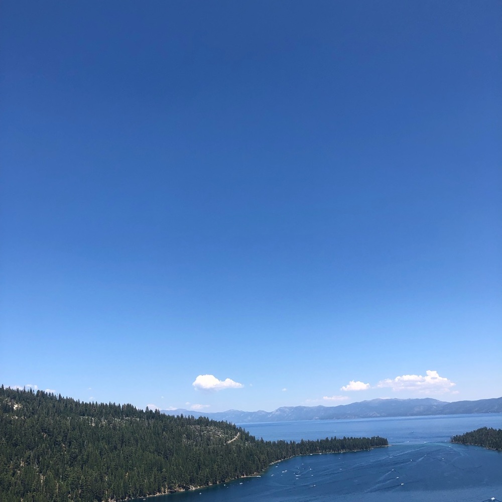 Meet your Posher, Suzanna